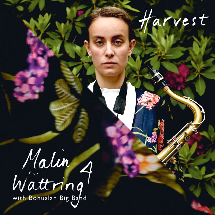 Malin Wättring 4 with Bohuslän Big Band - Harvest