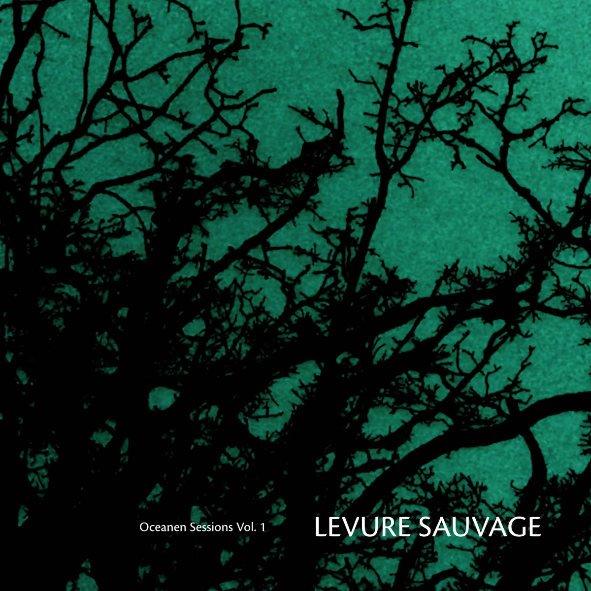 Levure Sauvage - Oceanen Sessions vol. 1